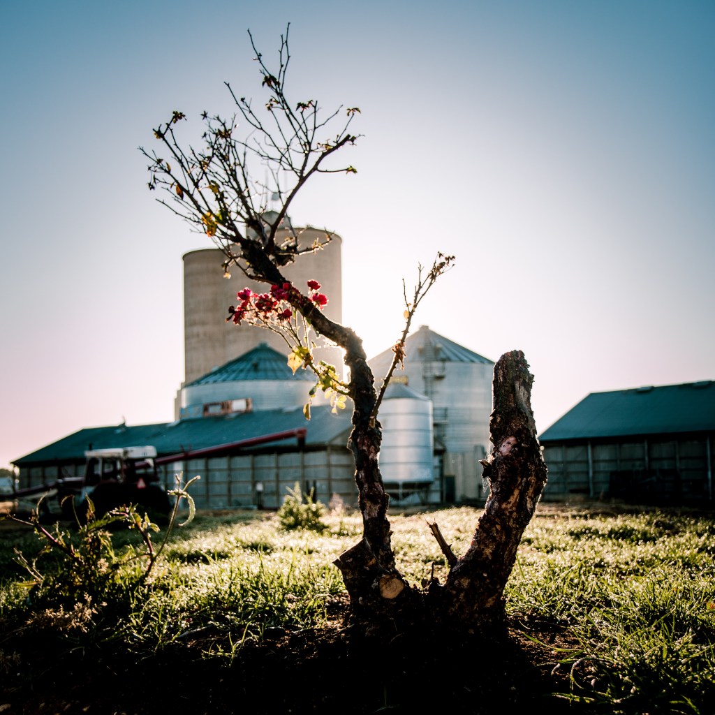 Admittedly this photo wasn't taken superearly...but it was early when we started!