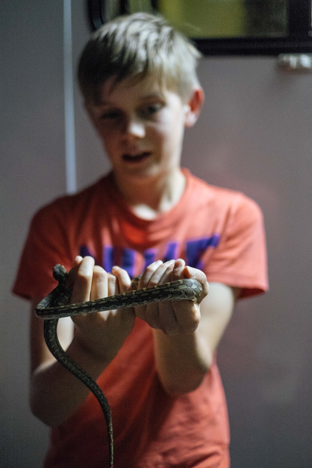 The parable of Joshua and the&nbsp;serpent