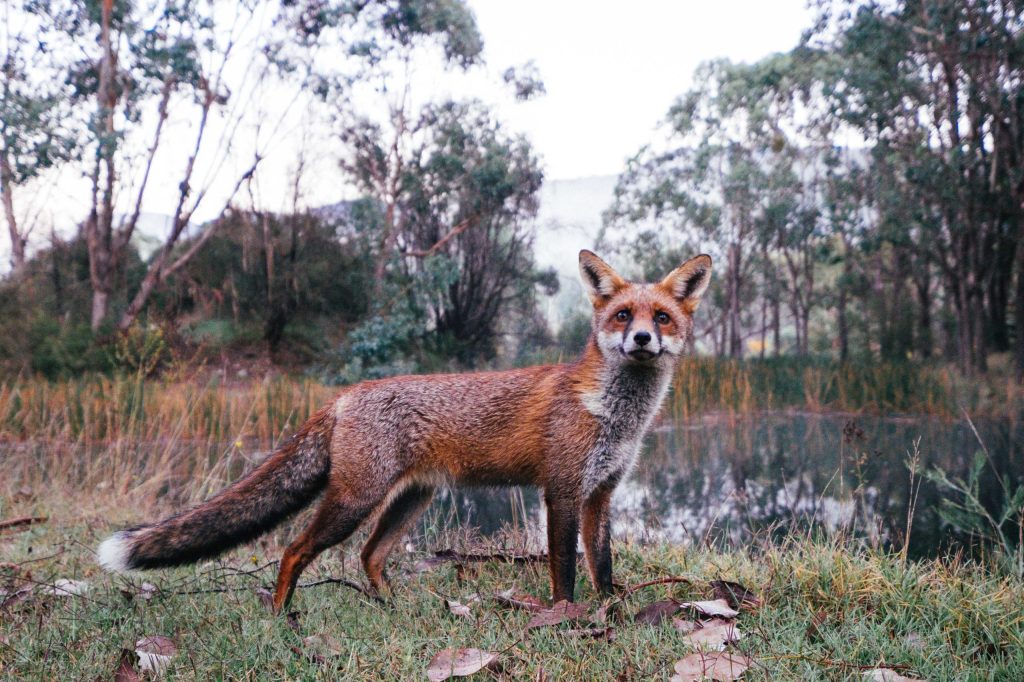 The upsides to&nbsp;COVID-19