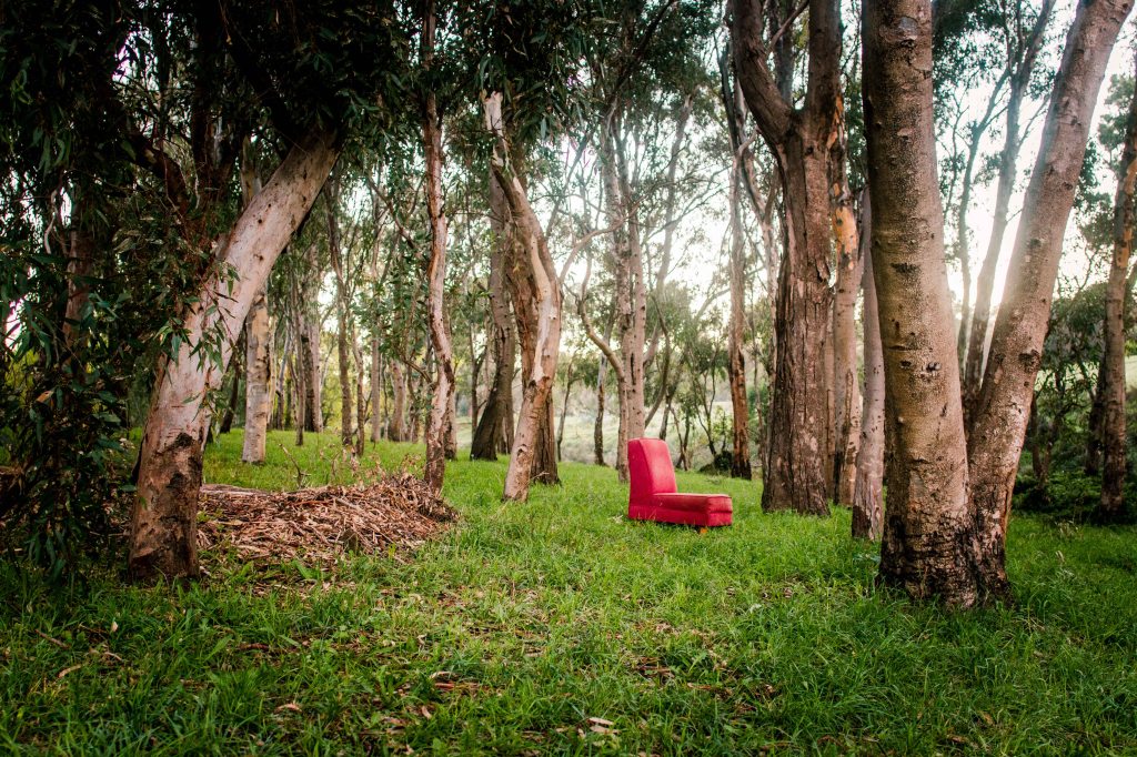 I stumbled across this one morning while out for a run...then scampered back to get my camera.